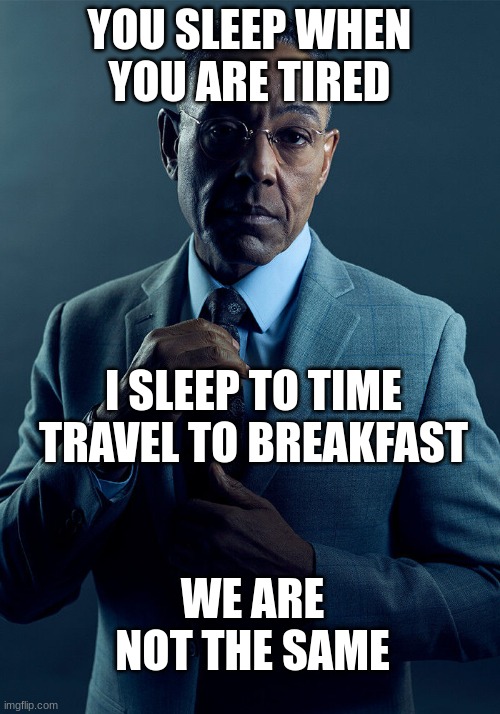 Ahh yes time manipulation | YOU SLEEP WHEN YOU ARE TIRED; I SLEEP TO TIME TRAVEL TO BREAKFAST; WE ARE NOT THE SAME | image tagged in gus fring we are not the same | made w/ Imgflip meme maker