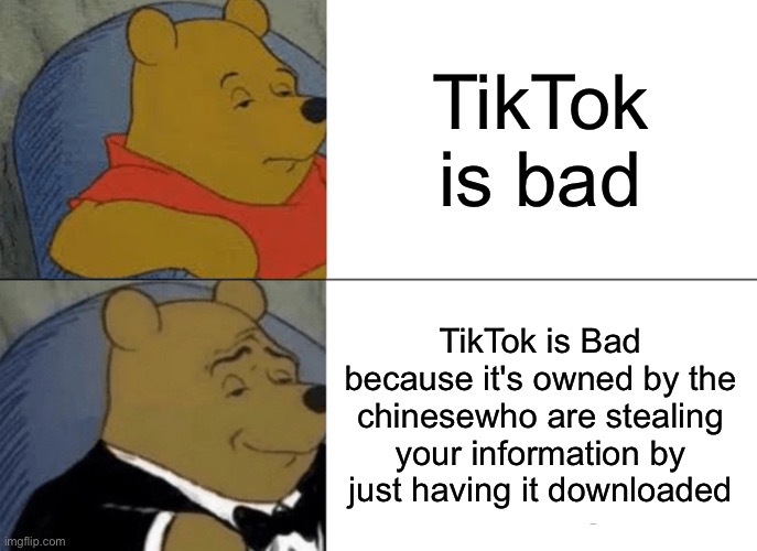 Tuxedo Winnie The Pooh Meme | TikTok is bad; TikTok is Bad because it's owned by the Chinese who are stealing your information by just having it downloaded | image tagged in memes,tuxedo winnie the pooh,tiktok sucks,tiktok | made w/ Imgflip meme maker