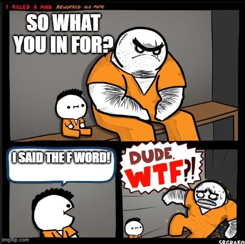 Srgrafo dude wtf | SO WHAT YOU IN FOR? I SAID THE F WORD! | image tagged in srgrafo dude wtf | made w/ Imgflip meme maker