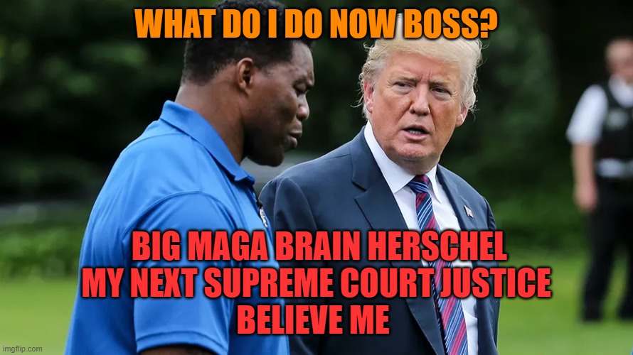 Herschel Walker Trump | WHAT DO I DO NOW BOSS? BIG MAGA BRAIN HERSCHEL
MY NEXT SUPREME COURT JUSTICE
BELIEVE ME | image tagged in herschel walker trump | made w/ Imgflip meme maker