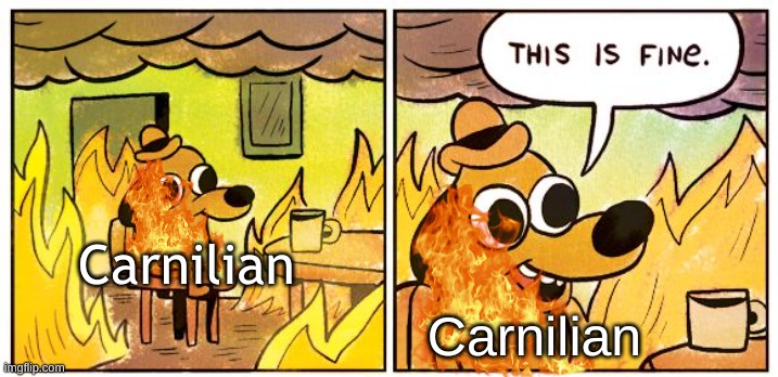 QRKS | Carnilian; Carnilian | image tagged in memes,this is fine | made w/ Imgflip meme maker