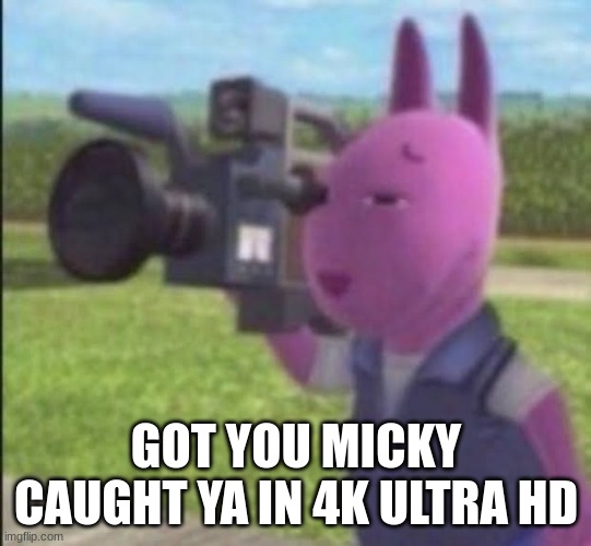 Caught in 4k | GOT YOU MICKY CAUGHT YA IN 4K ULTRA HD | image tagged in caught in 4k | made w/ Imgflip meme maker