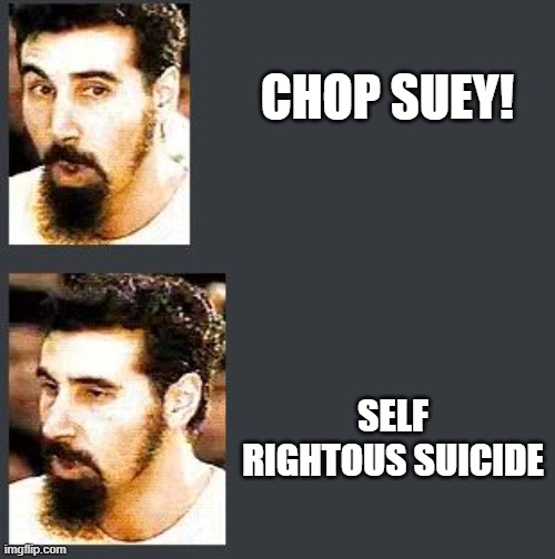 THE TITLE | CHOP SUEY! SELF RIGHTOUS SUICIDE | image tagged in system of a down look | made w/ Imgflip meme maker