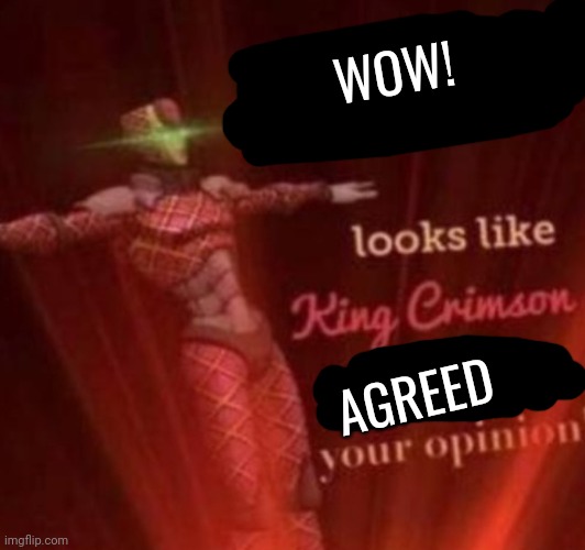 WHOOPS! Looks like, King Crimson skipped your opinion. | WOW! AGREED | image tagged in whoops looks like king crimson skipped your opinion | made w/ Imgflip meme maker