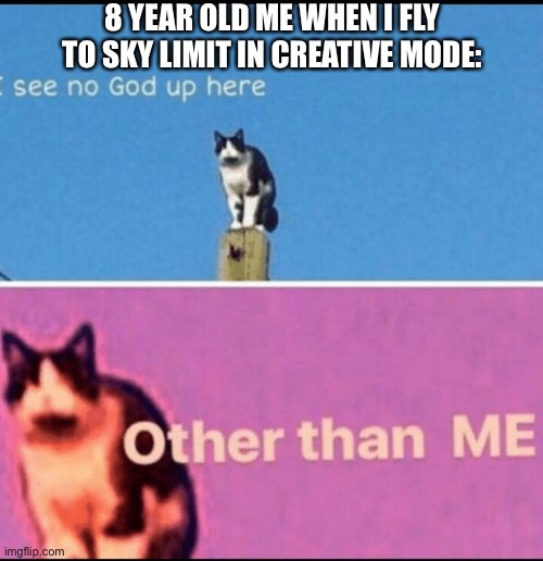 Didn’t we all?? | 8 YEAR OLD ME WHEN I FLY TO SKY LIMIT IN CREATIVE MODE: | image tagged in i see no god up here other than me,minecraft,creative,fly | made w/ Imgflip meme maker
