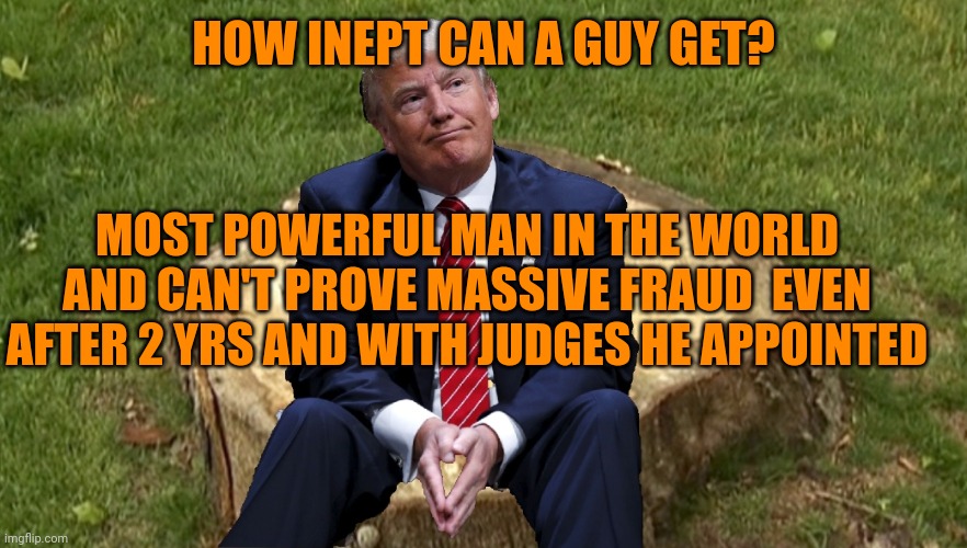 Proof in a court of law not Twitter | HOW INEPT CAN A GUY GET? MOST POWERFUL MAN IN THE WORLD AND CAN'T PROVE MASSIVE FRAUD  EVEN AFTER 2 YRS AND WITH JUDGES HE APPOINTED | image tagged in trump on a stump | made w/ Imgflip meme maker