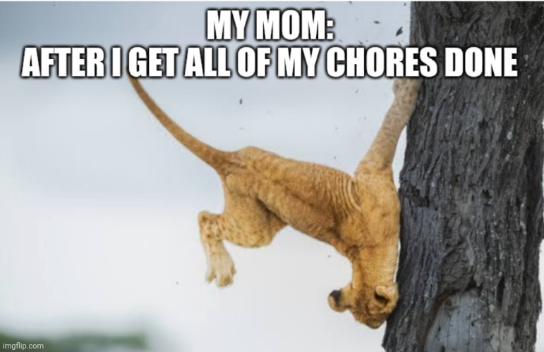 Even my mom | image tagged in lol so funny,lol | made w/ Imgflip meme maker