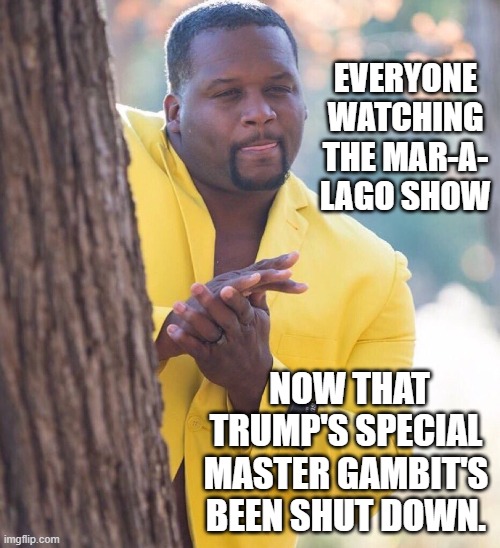 Things just got interesting | EVERYONE WATCHING THE MAR-A- LAGO SHOW; NOW THAT TRUMP'S SPECIAL MASTER GAMBIT'S BEEN SHUT DOWN. | image tagged in black guy hiding behind tree,trump is a moron | made w/ Imgflip meme maker