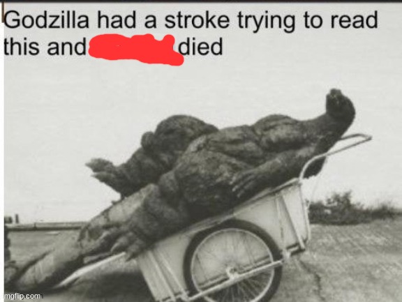 Godzilla had a stroke trying to read this and fricking died | image tagged in godzilla had a stroke trying to read this and fricking died | made w/ Imgflip meme maker