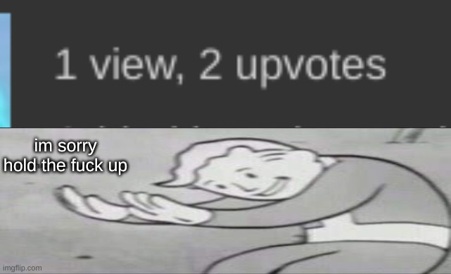 1 view 2 upvotes | im sorry
hold the fuck up | made w/ Imgflip meme maker