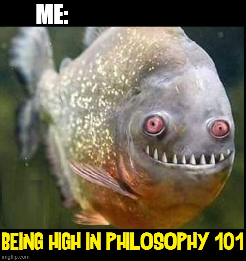 Getting High & thinking no one will know | ME:; BEING HIGH IN PHILOSOPHY 101 | image tagged in vince vance,getting high,memes,freaky,stoned guy,fish | made w/ Imgflip meme maker