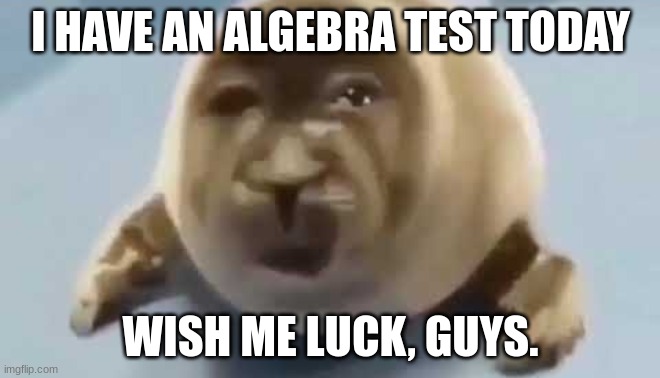 I'm screwed. | I HAVE AN ALGEBRA TEST TODAY; WISH ME LUCK, GUYS. | made w/ Imgflip meme maker