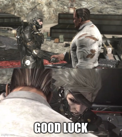 Raiden and Armstrong Handshake + Follow Up | GOOD LUCK | image tagged in raiden and armstrong handshake follow up | made w/ Imgflip meme maker
