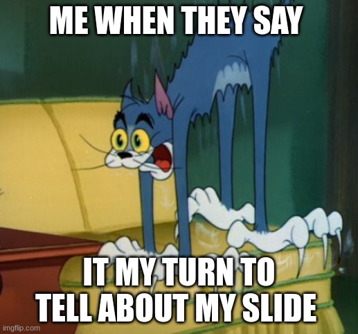 scardy cat | ME WHEN THEY SAY; IT MY TURN TO TELL ABOUT MY SLIDE | image tagged in scardy cat | made w/ Imgflip meme maker