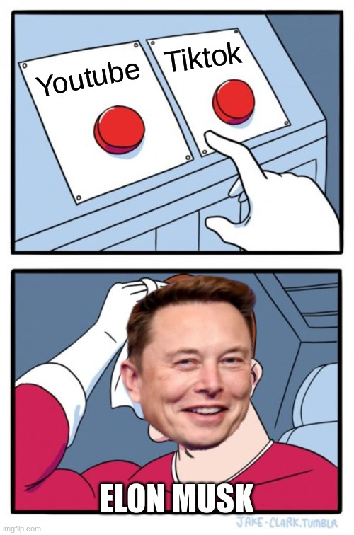 jndbiugrs | Tiktok; Youtube; ELON MUSK | image tagged in memes,two buttons | made w/ Imgflip meme maker