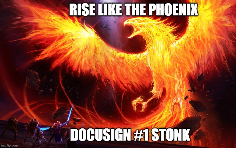 Phoenix | RISE LIKE THE PHOENIX; DOCUSIGN #1 STONK | image tagged in phoenix | made w/ Imgflip meme maker