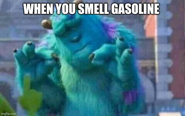 The smell is just too good | WHEN YOU SMELL GASOLINE | image tagged in sully shutdown,gasoline | made w/ Imgflip meme maker