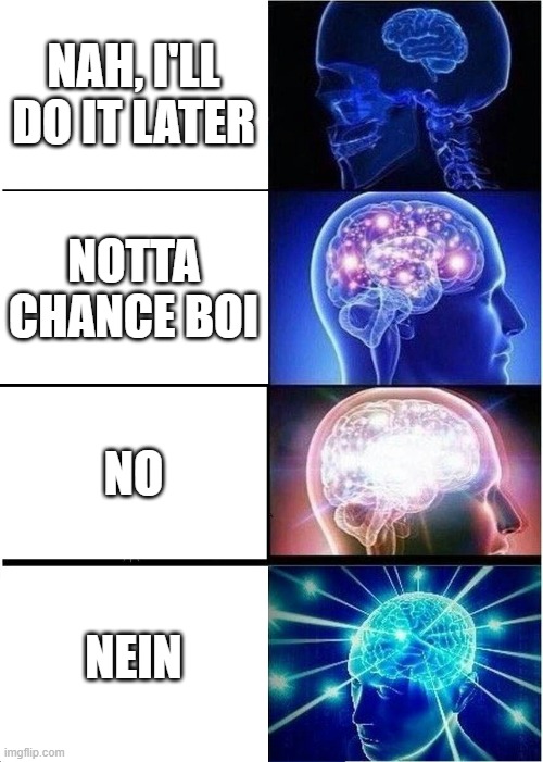 Expanding Brain Meme | NAH, I'LL DO IT LATER; NOTTA CHANCE BOI; NO; NEIN | image tagged in memes,expanding brain | made w/ Imgflip meme maker