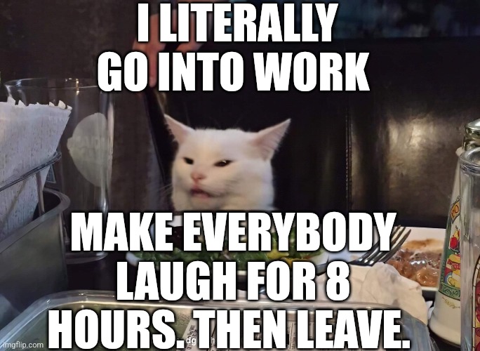 I LITERALLY GO INTO WORK; MAKE EVERYBODY LAUGH FOR 8 HOURS. THEN LEAVE. | image tagged in smudge the cat | made w/ Imgflip meme maker