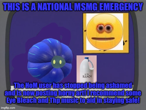 glimmora news thing temp | THIS IS A NATIONAL MSMG EMERGENCY; The HoM user has stopped being ashamed and is now posting horny art! I recommend some Eye Bleach and Thp music to aid in staying safe! | image tagged in glimmora news thing temp | made w/ Imgflip meme maker