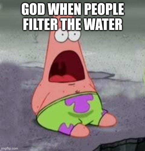Suprised Patrick | GOD WHEN PEOPLE FILTER THE WATER | image tagged in suprised patrick | made w/ Imgflip meme maker