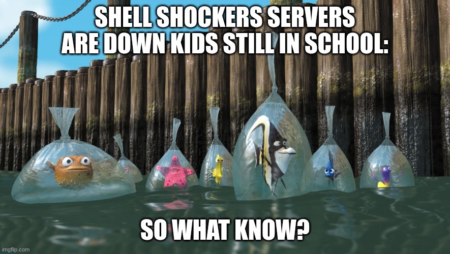 Finding Nemo fish in bags | SHELL SHOCKERS SERVERS ARE DOWN KIDS STILL IN SCHOOL:; SO WHAT KNOW? | image tagged in finding nemo fish in bags | made w/ Imgflip meme maker