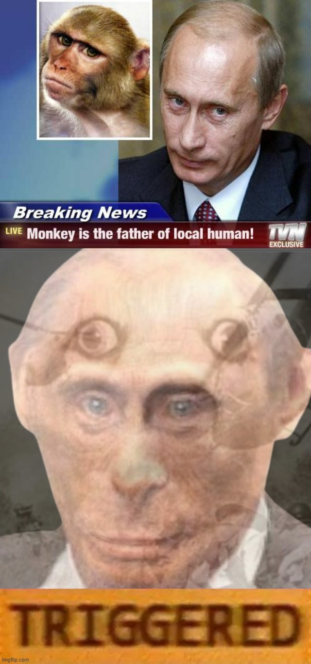 image tagged in putin monkey is the father of local human,banan man ptsd,roblox triggered | made w/ Imgflip meme maker