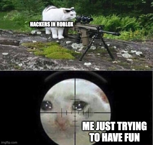 Sniper cat | HACKERS IN ROBLOX; ME JUST TRYING TO HAVE FUN | image tagged in sniper cat | made w/ Imgflip meme maker