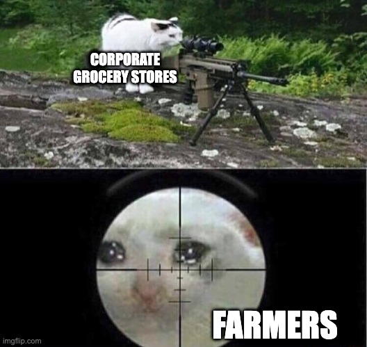 Sniper cat | CORPORATE GROCERY STORES; FARMERS | image tagged in sniper cat | made w/ Imgflip meme maker