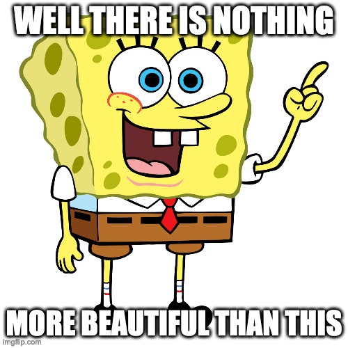 well there is nothing more beautiful than this |  WELL THERE IS NOTHING; MORE BEAUTIFUL THAN THIS | image tagged in spongebob,beautiful,so beautiful | made w/ Imgflip meme maker