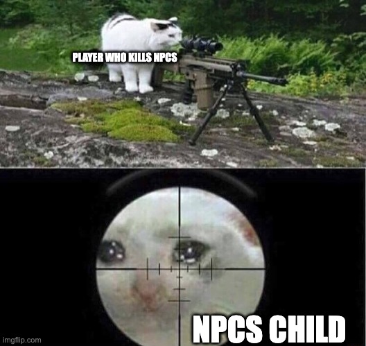 Sniper cat | PLAYER WHO KILLS NPCS; NPCS CHILD | image tagged in sniper cat | made w/ Imgflip meme maker