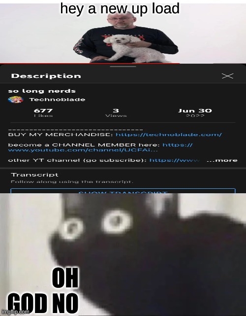 Rest in peace technoblade | hey a new up load; OH GOD NO | image tagged in oh no black cat,rip,technoblade | made w/ Imgflip meme maker
