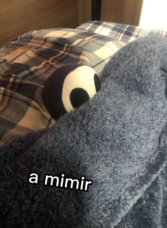 High Quality a mimir Blank Meme Template