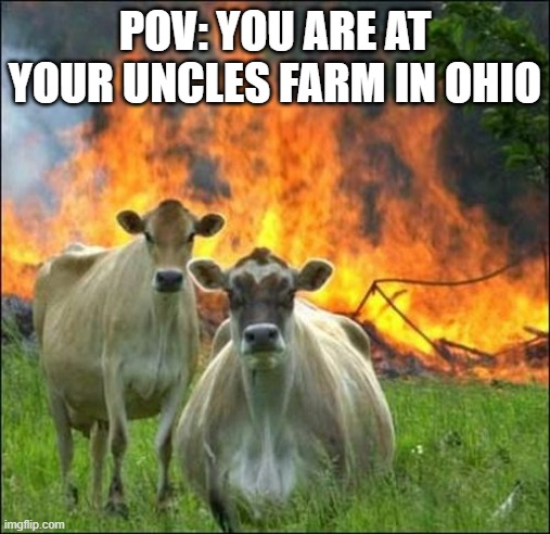 OHiO | POV: YOU ARE AT YOUR UNCLES FARM IN OHIO | image tagged in memes,evil cows | made w/ Imgflip meme maker