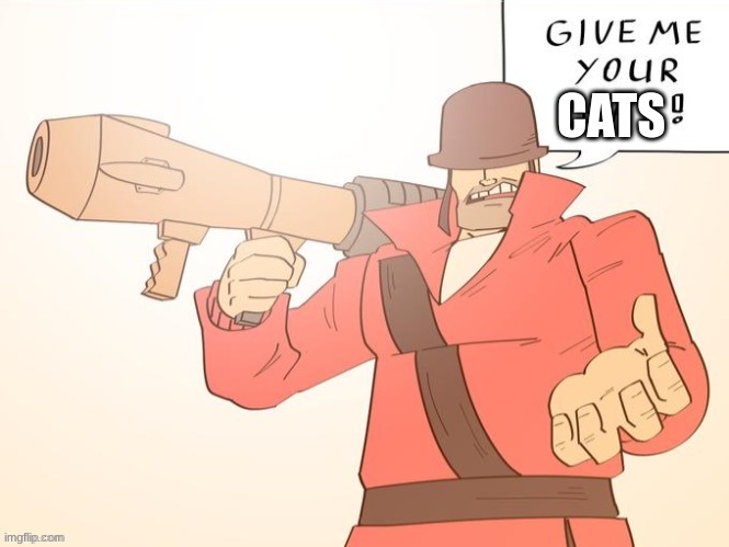 Give me your hat | CATS | image tagged in give me your hat | made w/ Imgflip meme maker