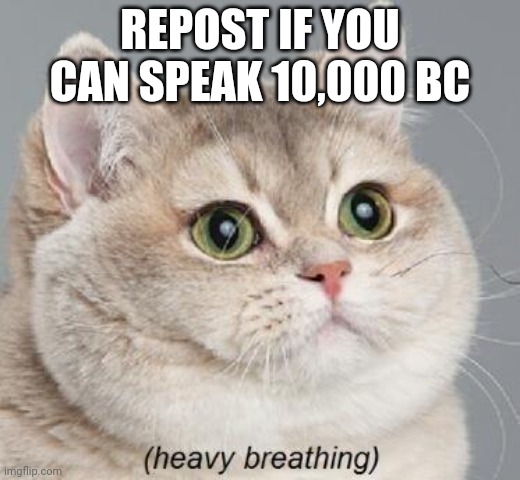 Heavy Breathing Cat | REPOST IF YOU CAN SPEAK 10,000 BC | image tagged in heavy breathing cat | made w/ Imgflip meme maker