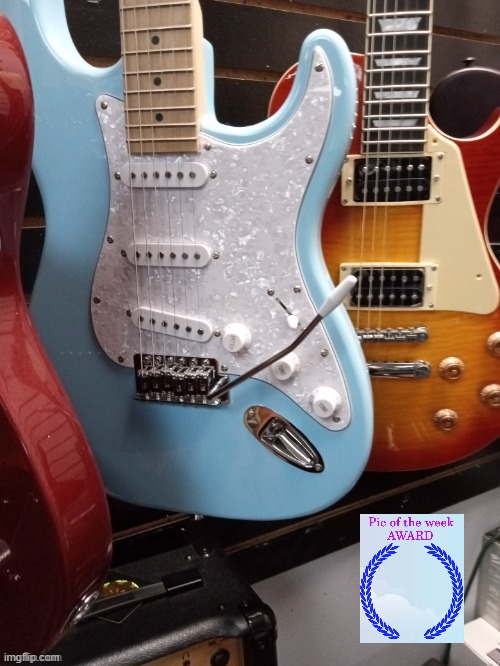 The pic of the week award goes to Guitars at a guitar store by festive_dboi | image tagged in festive_dboi,guitars at a guitar store | made w/ Imgflip meme maker