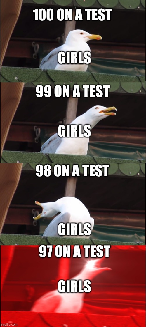 girls on a test | 100 ON A TEST; GIRLS; 99 ON A TEST; GIRLS; 98 ON A TEST; GIRLS; 97 ON A TEST; GIRLS | image tagged in memes,inhaling seagull | made w/ Imgflip meme maker