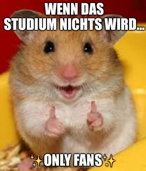 Plan B | WENN DAS STUDIUM NICHTS WIRD…; ✨ONLY FANS✨ | image tagged in thumbs up hamster | made w/ Imgflip meme maker