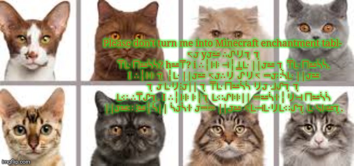 YourLocalKotek annoucment | Please don't turn me into Minecraft enchantment tabl- 
↸𝙹 y𝙹⚍ ∴ᔑリℸ ̣ ℸ ̣ ⍑ᒷ ⨅⚍ᓵᓵ? h⚍⍑? i ∴╎ꖎꖎ ⊣╎⍊ᒷ ||𝙹⚍ ℸ ̣ ⍑ᒷ ⨅⚍ᓵᓵ. I ∴╎ꖎꖎ ℸ ̣ ╎ᒷ ||𝙹⚍ ↸𝙹∴リ ᔑリ↸ ⎓𝙹∷ᓵᒷ ||𝙹⚍ ℸ ̣ 𝙹 ᒷリ⋮𝙹|| ℸ ̣ ⍑ᒷ ⨅⚍ᓵᓵ リ𝙹 ᒲᔑℸ ̣ ℸ ̣ ᒷ∷ ∴⍑ᔑℸ ̣. I ∴╎ꖎꖎ ꖎ╎ℸ ̣ ᒷ∷ᔑꖎꖎ|| ⎓⚍ᓵꖌ╎リ⊣ ⨅⚍ᓵᓵ ||𝙹⚍∷ ⋮⚍╎ᓵ|| ᓵ𝙹ᓵꖌ 𝙹⎓⎓ ||𝙹⚍ ↸ᒷ⊣ᒷリᒷ∷ᔑℸ ̣ ᒷ ᓭꖎ⚍ℸ ̣. | image tagged in yourlocalkotek annoucment | made w/ Imgflip meme maker