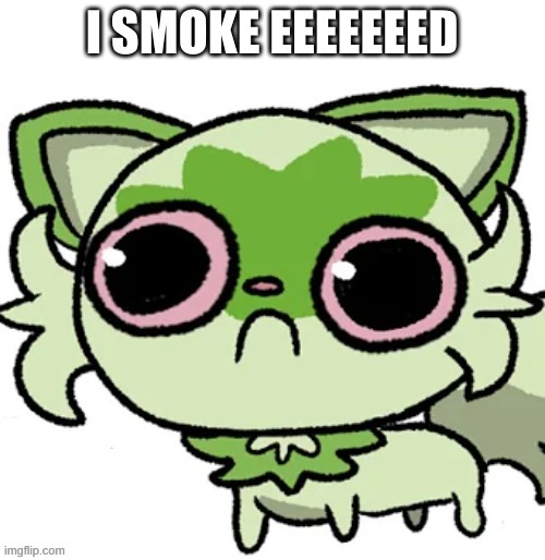weed cat | I SMOKE EEEEEEED | image tagged in weed cat | made w/ Imgflip meme maker