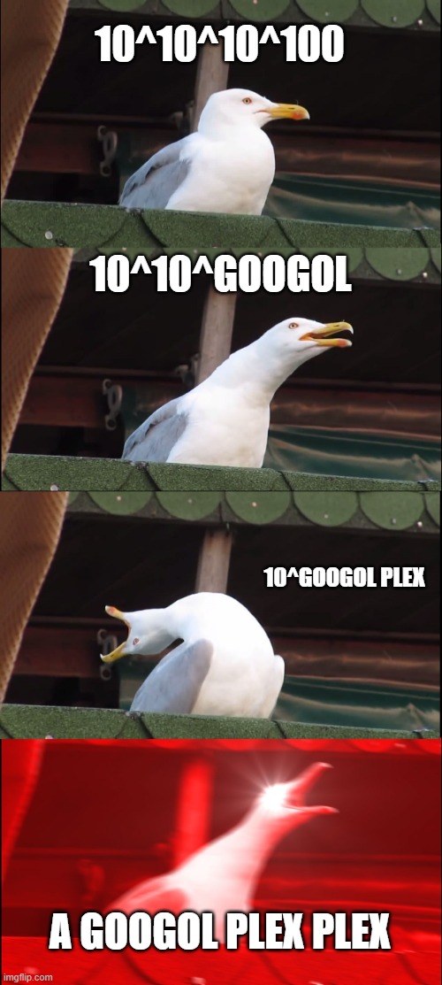 Technically it's called that. | 10^10^10^100; 10^10^GOOGOL; 10^GOOGOL PLEX; A GOOGOL PLEX PLEX | image tagged in memes,inhaling seagull | made w/ Imgflip meme maker