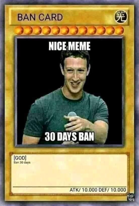 High Quality Zucced nice meme 30 days ban Blank Meme Template