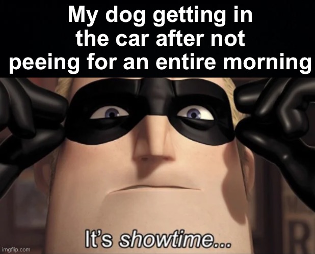 Why does he choose this time to take a pee? | My dog getting in the car after not peeing for an entire morning | image tagged in show time,memes,unfunny | made w/ Imgflip meme maker