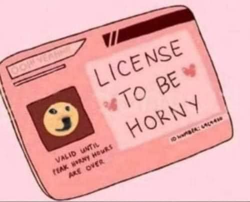 License to be horny Blank Meme Template