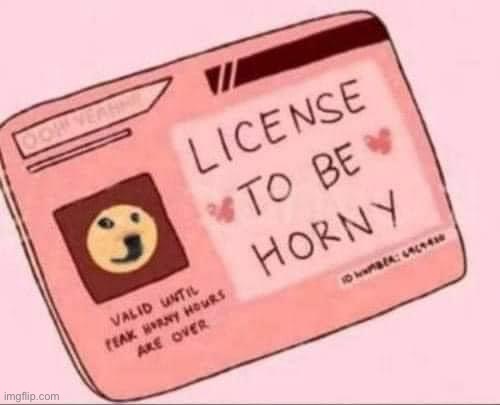 License to be horny | image tagged in license to be horny | made w/ Imgflip meme maker