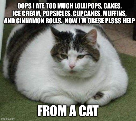 Obese cat | OOPS I ATE TOO MUCH LOLLIPOPS, CAKES, ICE CREAM, POPSICLES, CUPCAKES, MUFFINS, AND CINNAMON ROLLS.  NOW I’M OBESE PLSSS HELP; FROM A CAT | image tagged in obese cat | made w/ Imgflip meme maker