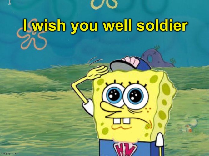 Spongebob salute | I wish you well soldier | image tagged in spongebob salute | made w/ Imgflip meme maker