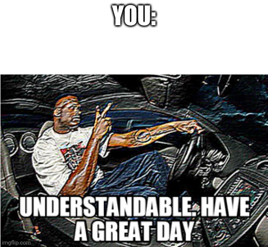UNDERSTANDABLE, HAVE A GREAT DAY | YOU: | image tagged in understandable have a great day | made w/ Imgflip meme maker