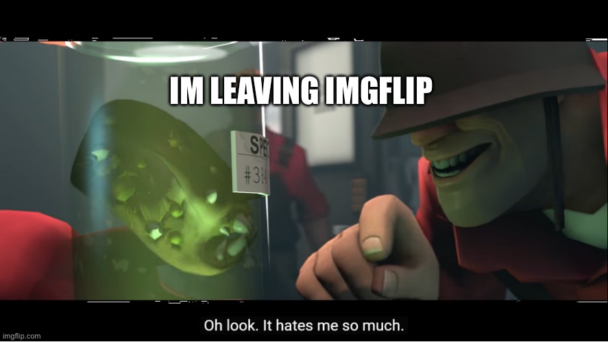 It hates me so much | IM LEAVING IMGFLIP | image tagged in it hates me so much,you know the rules and so do i say goodbye | made w/ Imgflip meme maker